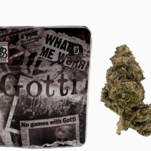 Buy Gotti backpackboyz