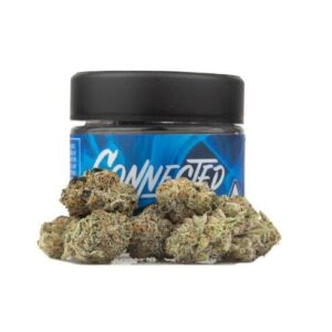 Buy Biscotti X Gushers Connected online