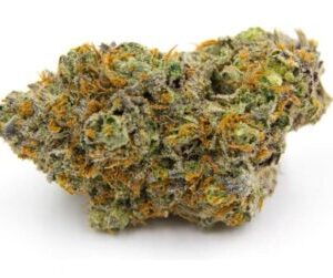 Grand Daddy Purple